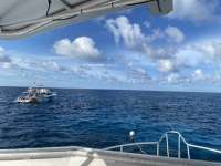 Great day of scuba diving in Key Largo with Rainbow Reef on eagle ray alley tropical serenity 2020 08 30 r9984 1