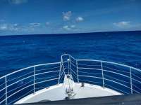 Great day of scuba diving in Key Largo with Rainbow Reef on french reef tropical legend 2020 08 26 r9965 1