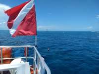 Great day of scuba diving in Key Largo with Rainbow Reef on spanish anchor tropical odyssey 2020 08 06 r9894 1