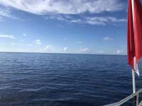 Great day of scuba diving in Key Largo with Rainbow Reef on spiegel grove santana 2020 08 31 r9988 1