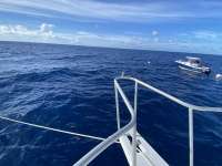 Great day of scuba diving in Key Largo with Rainbow Reef on spiegel grove tropical serenity 2020 08 12 r9924 2