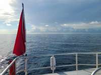Great day of scuba diving in Key Largo with Rainbow Reef on uscgc duane tropical odyssey 2020 08 17 r9944 1