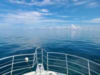 Great day of scuba diving in Key Largo with Rainbow Reef on benwood wreck tropical legend 2020 12 15 r10413 1