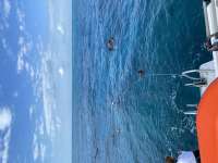 Great day of scuba diving in Key Largo with Rainbow Reef on christmastree cave santana 2020 12 20 r10435 1