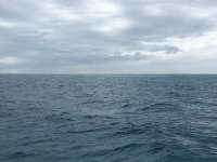 Great day of scuba diving in Key Largo with Rainbow Reef on conch ledge tropical legend 2020 12 12 r10395 1