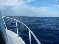 Great day of scuba diving in Key Largo with Rainbow Reef on drift molasses tropical explorer 2020 12 21 r10444 1