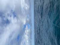 Great day of scuba diving in Key Largo with Rainbow Reef on eagle ray alley tropical adventure 2020 12 12 r10394 1