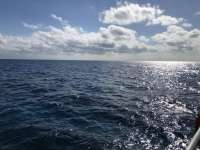 Great day of scuba diving in Key Largo with Rainbow Reef on french twist tropical odyssey 2020 12 19 r10428 1