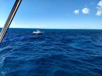 Great day of scuba diving in Key Largo with Rainbow Reef on molasses reef tropical adventure 2020 12 28 r10504 1