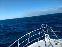 Great day of scuba diving in Key Largo with Rainbow Reef on permit ledges tropical adventure 2020 12 28 r10496 1