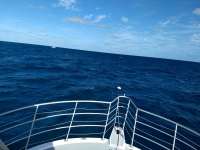 Great day of scuba diving in Key Largo with Rainbow Reef on permit ledges tropical odyssey 2020 12 03 r10364 1
