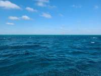 Great day of scuba diving in Key Largo with Rainbow Reef on spanish anchor santana 2020 12 18 r10423 1