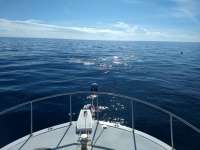 Great day of scuba diving in Key Largo with Rainbow Reef on spiegel grove tropical destiny 2020 12 05 r10373 1