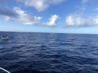 Great day of scuba diving in Key Largo with Rainbow Reef on uscgc duane tropical odyssey 2020 12 14 r10402 1