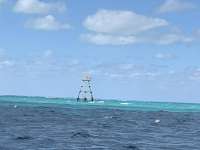 Great day of scuba diving in Key Largo with Rainbow Reef on eagle ray alley santana 2020 02 23 r9291 1