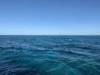 Great day of scuba diving in Key Largo with Rainbow Reef on eagle ray alley tropical serenity 2020 02 17 r9262 1