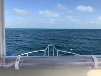 Great day of scuba diving in Key Largo with Rainbow Reef on french reef santana 2020 02 15 r9249 1