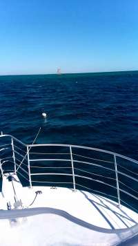 Great day of scuba diving in Key Largo with Rainbow Reef on molasses reef tropical legend 2020 02 29 r9313 1