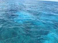 Great day of scuba diving in Key Largo with Rainbow Reef on spanish anchor tropical odyssey 2020 02 17 r9265 1