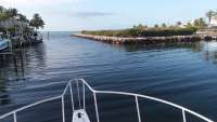 Great day of scuba diving in Key Largo with Rainbow Reef on spiegel grove tropical serenity 2020 02 19 r9271 1