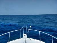 Great day of scuba diving in Key Largo with Rainbow Reef on benwood wreck tropical serenity 2020 07 27 r9846 1
