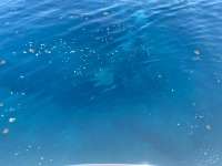 Great day of scuba diving in Key Largo with Rainbow Reef on benwood wreck tropical voyager 2020 07 01 r9685 1