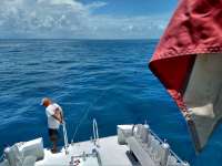 Great day of scuba diving in Key Largo with Rainbow Reef on crf nursery tropical voyager 2020 07 06 r9727 1