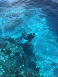 Great day of scuba diving in Key Largo with Rainbow Reef on molasses reef tropical explorer 2020 07 03 r9701 1