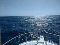 Great day of scuba diving in Key Largo with Rainbow Reef on north star santana 2020 07 31 r9862 1