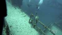 Great day of scuba diving in Key Largo with Rainbow Reef on spiegel grove tropical adventure 2020 07 28 r9853 1