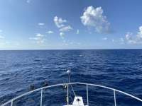 Great day of scuba diving in Key Largo with Rainbow Reef on spiegel grove tropical destiny 2020 07 06 r9725 1