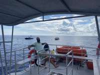 Great day of scuba diving in Key Largo with Rainbow Reef on spiegel grove tropical odyssey 2020 07 04 r9707 1