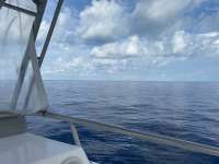Great day of scuba diving in Key Largo with Rainbow Reef on spiegel grove tropical odyssey 2020 07 05 r9715 1