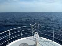 Great day of scuba diving in Key Largo with Rainbow Reef on spiegel grove tropical odyssey 2020 07 09 r9746 1