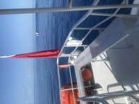 Great day of scuba diving in Key Largo with Rainbow Reef on uscgc bibb tropical odyssey 2020 07 01 r9681 1