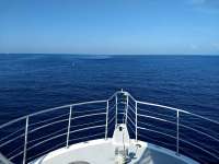 Great day of scuba diving in Key Largo with Rainbow Reef on uscgc bibb tropical odyssey 2020 07 15 r9794 1