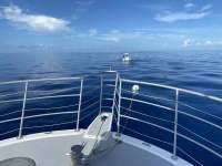 Great day of scuba diving in Key Largo with Rainbow Reef on uscgc duane tropical odyssey 2020 07 03 r9698 1