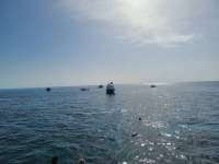Great day of scuba diving in Key Largo with Rainbow Reef on winch hole tropical legend 2020 07 02 r9691 1