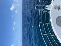 Great day of scuba diving in Key Largo with Rainbow Reef on benwood wreck tropical legend 2020 06 23 r9599 1