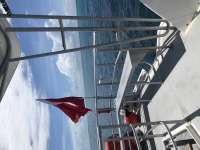 Great day of scuba diving in Key Largo with Rainbow Reef on christmastree cave tropical odyssey 2020 06 13 r9501 1