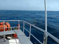 Great day of scuba diving in Key Largo with Rainbow Reef on christmastree cave tropical serenity 2020 06 05 r9447 1