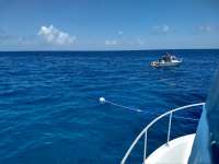 Great day of scuba diving in Key Largo with Rainbow Reef on christmastree cave tropical serenity 2020 06 24 r9616 1