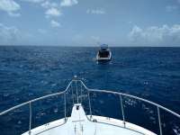 Great day of scuba diving in Key Largo with Rainbow Reef on christmastree cave tropical serenity 2020 06 27 r9659 1