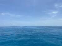 Great day of scuba diving in Key Largo with Rainbow Reef on crf nursery tropical voyager 2020 06 29 r9675 1
