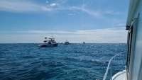 Great day of scuba diving in Key Largo with Rainbow Reef on drift molasses tropical explorer 2020 06 10 r9479 1