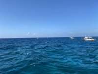 Great day of scuba diving in Key Largo with Rainbow Reef on drift molasses tropical voyager 2020 06 25 r9621 1