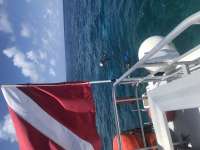 Great day of scuba diving in Key Largo with Rainbow Reef on eagle ray alley tropical odyssey 2020 06 23 r9598 1