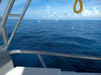 Great day of scuba diving in Key Largo with Rainbow Reef on eagle ray alley tropical serenity 2020 06 22 r9582 1