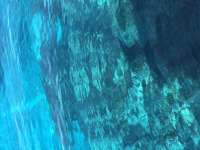 Great day of scuba diving in Key Largo with Rainbow Reef on elbow north santana 2020 06 27 r9661 1