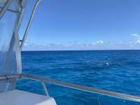 Great day of scuba diving in Key Largo with Rainbow Reef on french reef tropical legend 2020 06 26 r9644 1